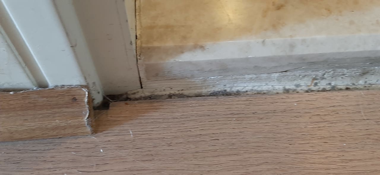 Zimmer Marvida Family Eco