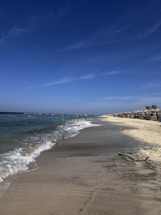 Strand Malikia Resort Abu Dabbab