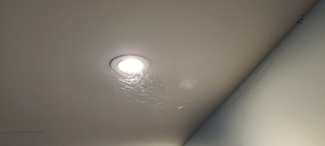 Sonstiges Sentido Galomar