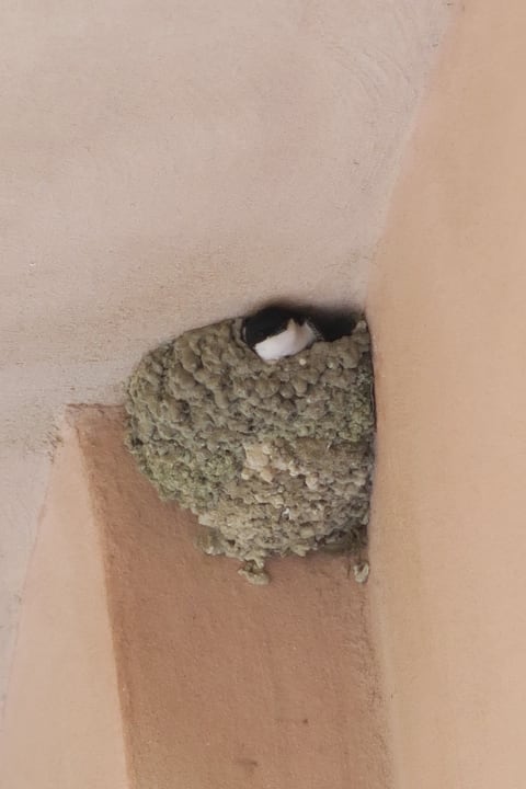 Sonstiges Atlantica Belvedere Resort