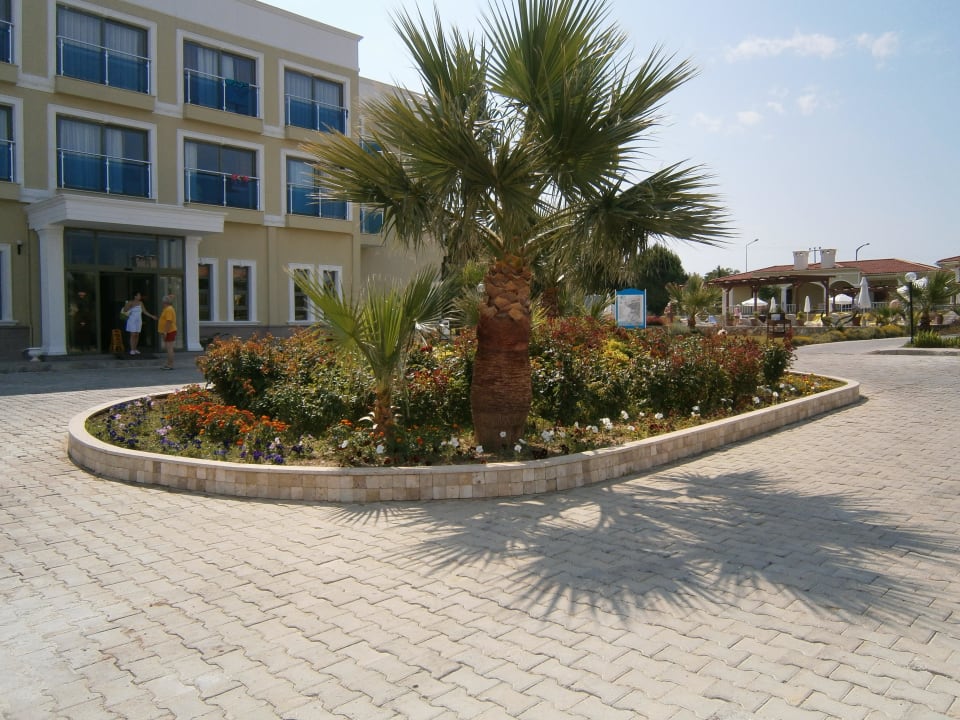 Hotel Palm Wings Beach Resort Anadolu Hotels Didim Club