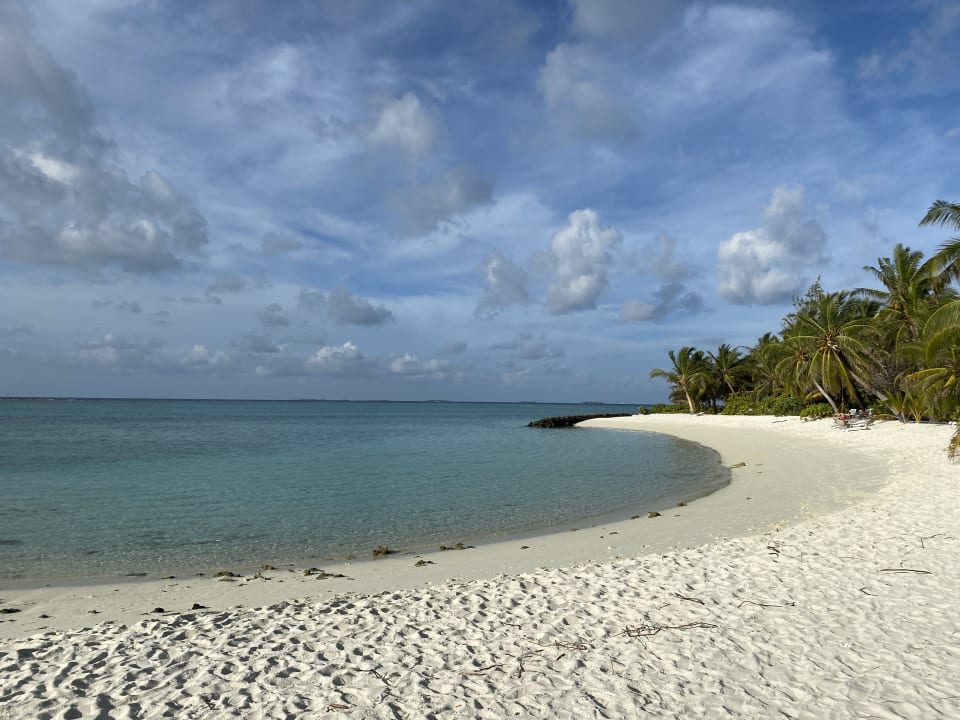 Strand Summer Island Maldives