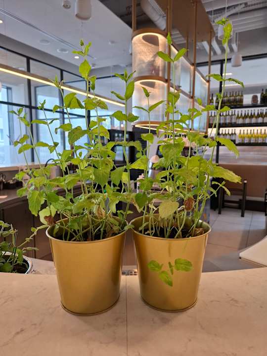 Gastro Qubus Hotel Katowice