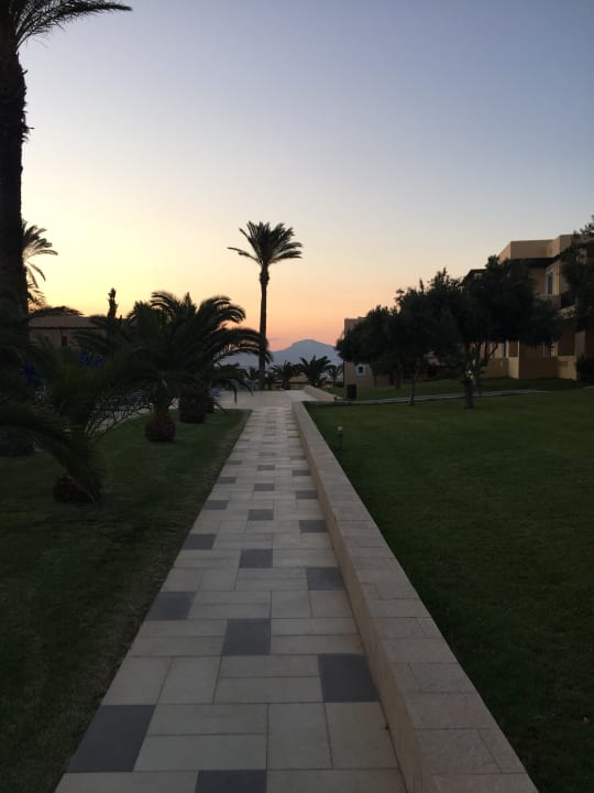 Gartenanlage Hotel Horizon Beach Resort