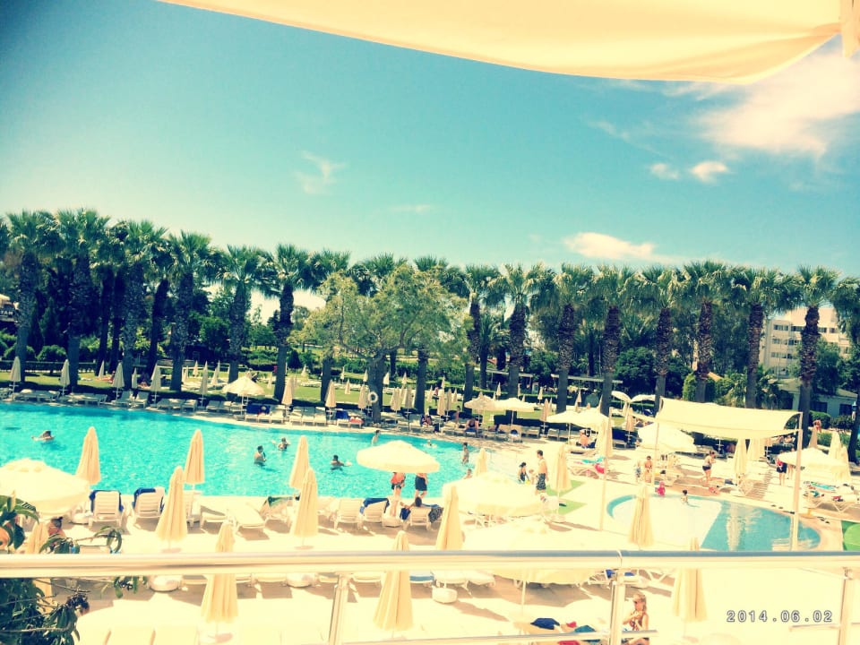 Pool  Asteria Collection Side