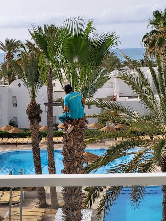 Pool Hotel Seabel Aladin Djerba