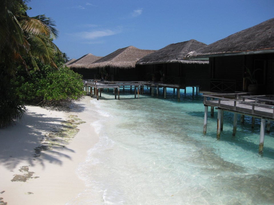 Wasserbungalows auf der Riffseite Kuramathi Maldives