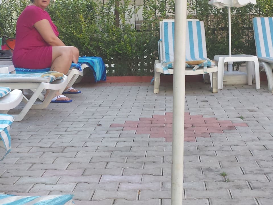 Der Zustand der Auflagen am Pool. Acar Hotel