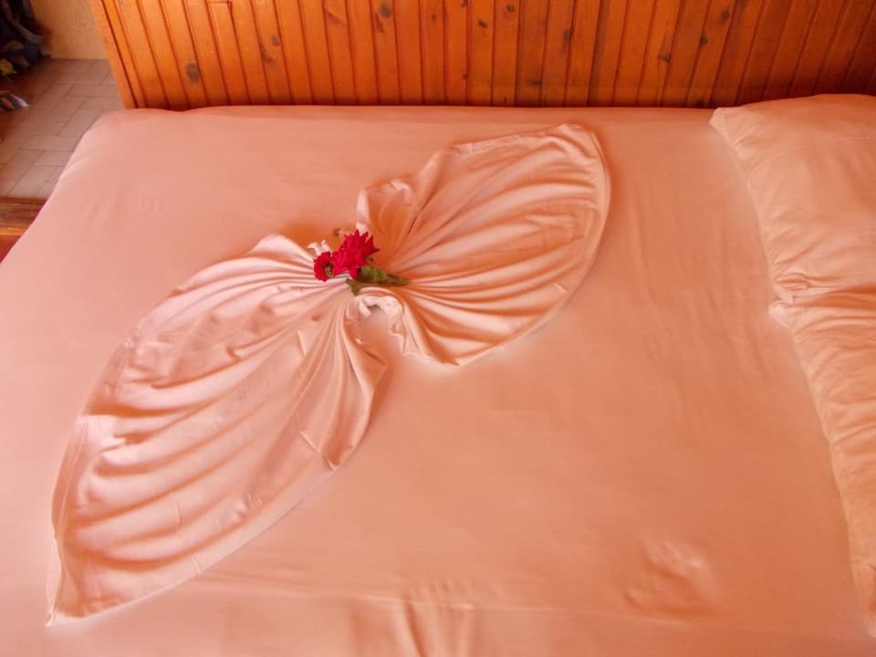 Mit viel Mühe  Clover Magic Nova Beach