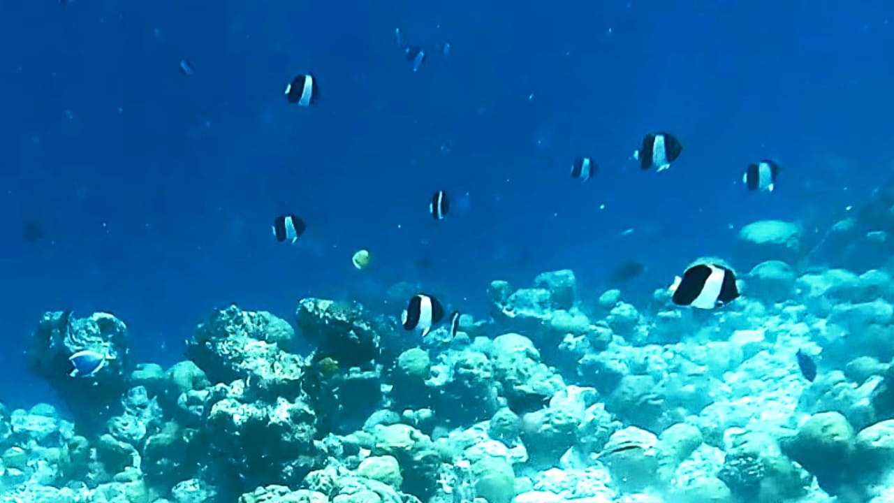 Sport & Freizeit Kuramathi Maldives