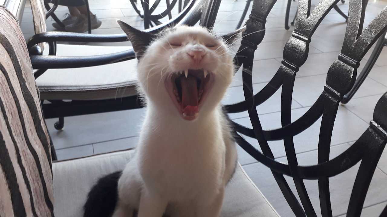 Sonstiges Diamond Excellence Resort & Spa