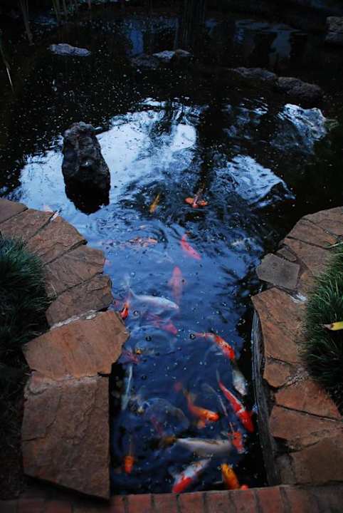 Koiteich Hotel Southern Sun Mayfair