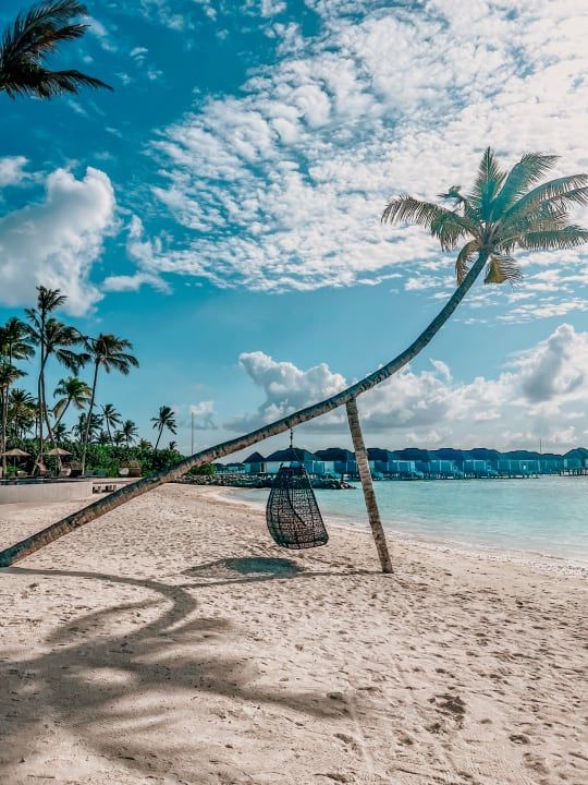 Pool TUI BLUE Olhuveli Romance