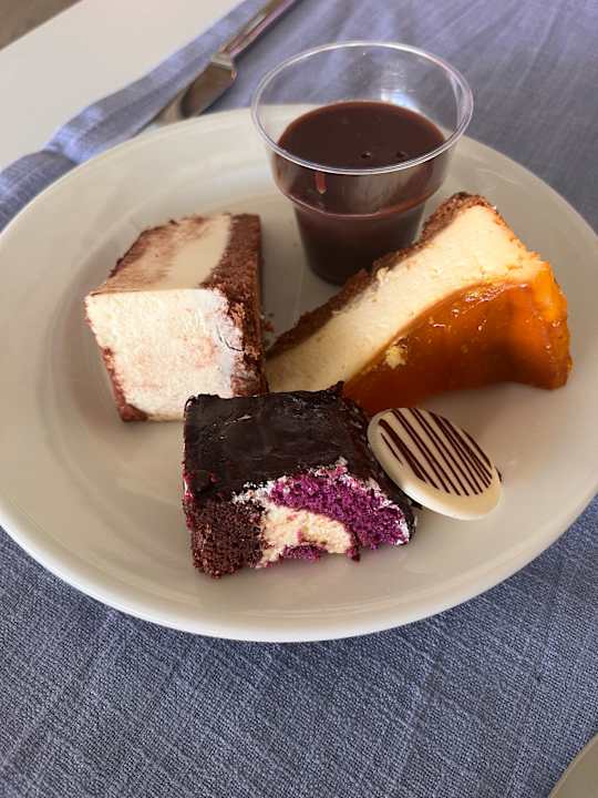 Gastro Seashell Vega