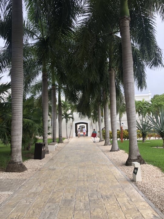 Gartenanlage Dreams Tulum Resort & Spa