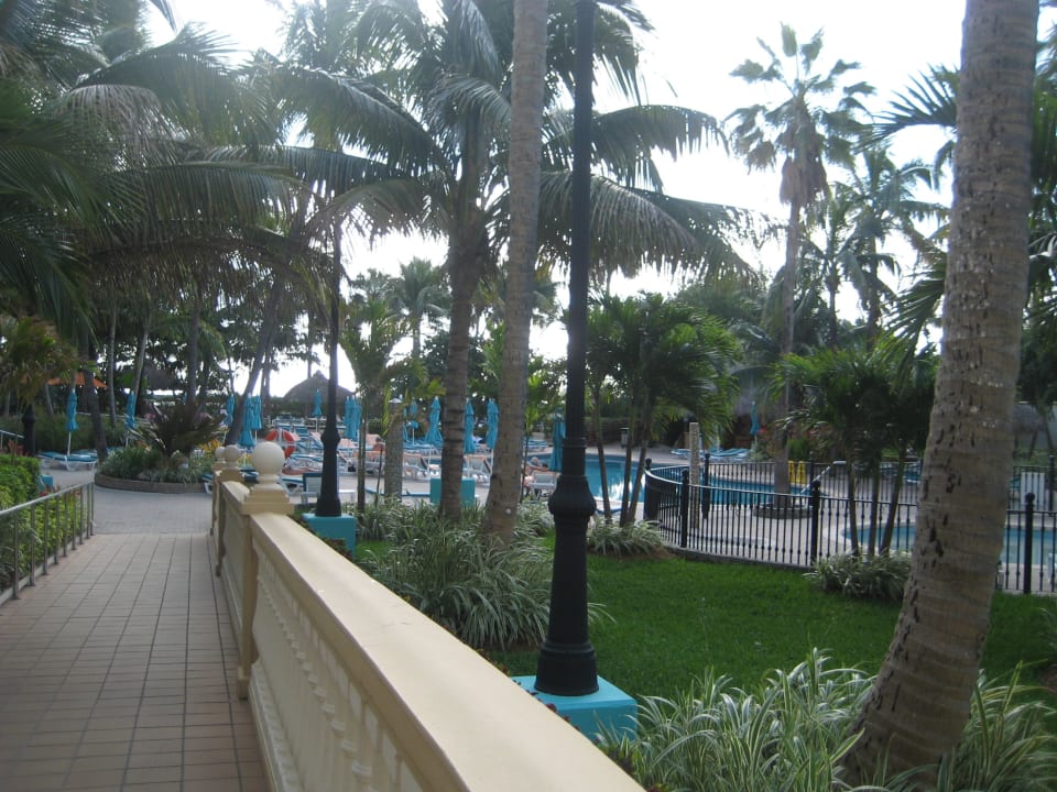 Pool Hotel Riu Plaza Miami Beach