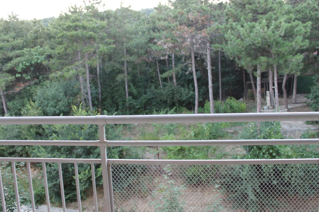 Ausblick vom Balkon Park Hotel Golden Beach