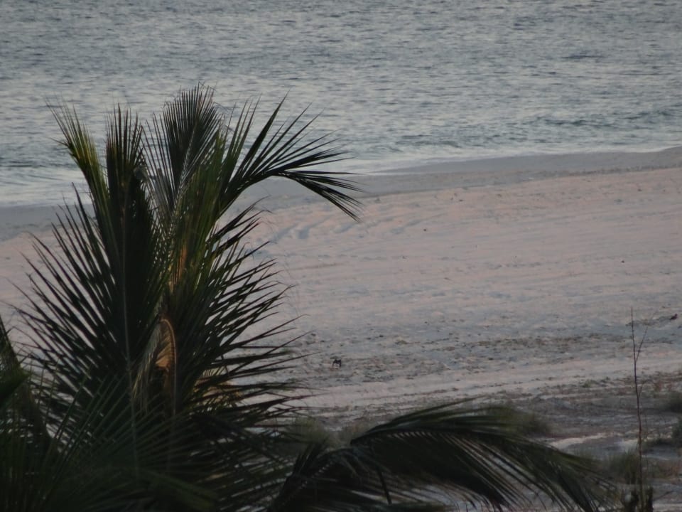 Einsam & verlassen Hilton Salalah  Resort