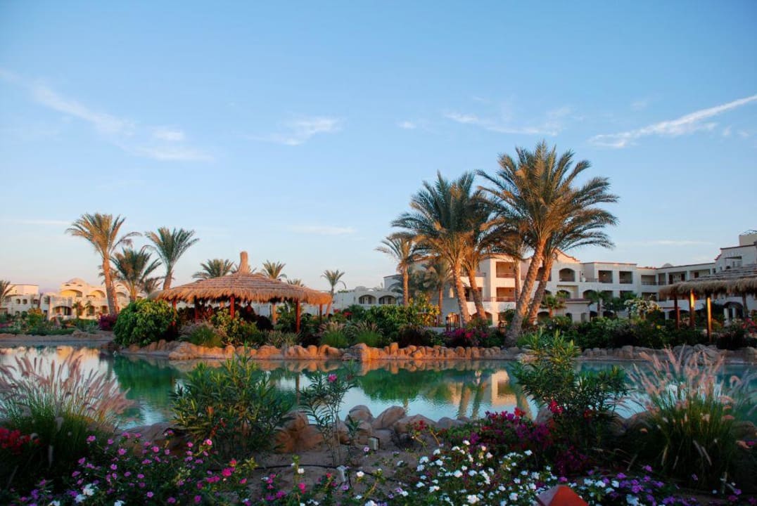 Hotelowy ogród o świcie 2 Regency Plaza Aqua Park & Spa