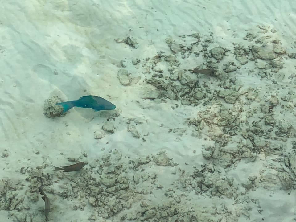 Strand Sun Siyam Olhuveli