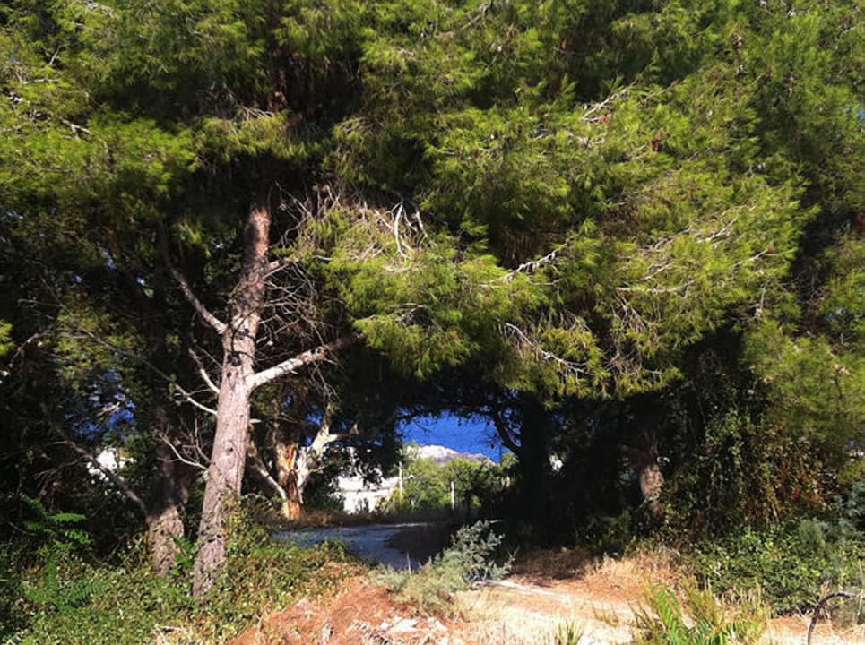 Accesso al mare Masseria Porto Badisco