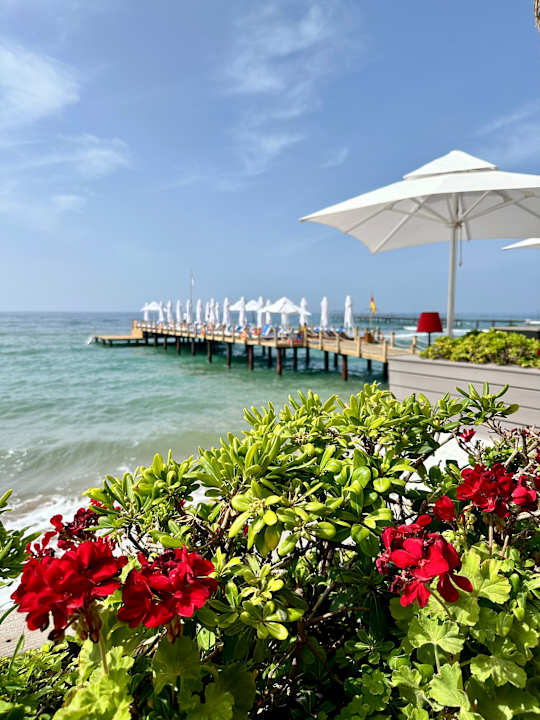 Strand Voyage Sorgun