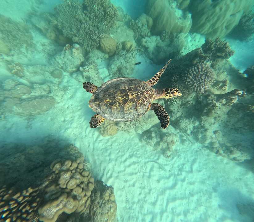 Sonstiges Filitheyo Island Resort