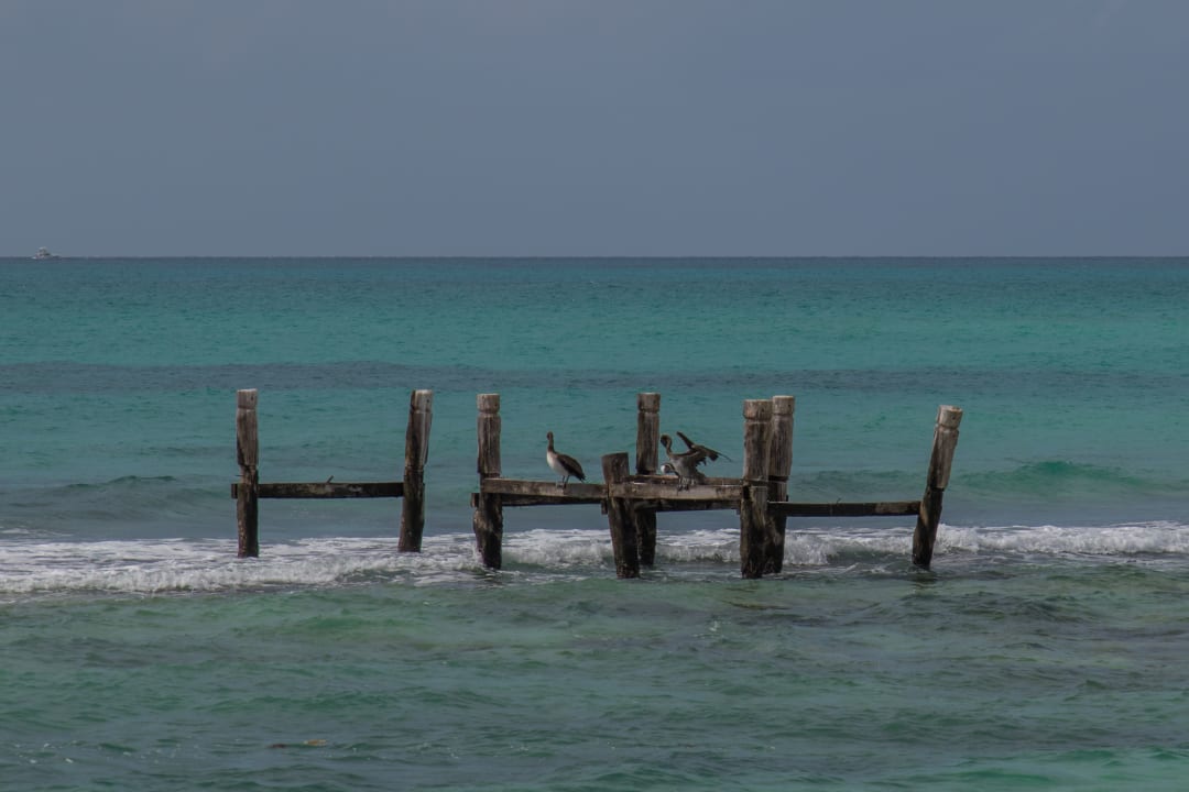 Strand Iberostar Selection Paraiso Maya Suites