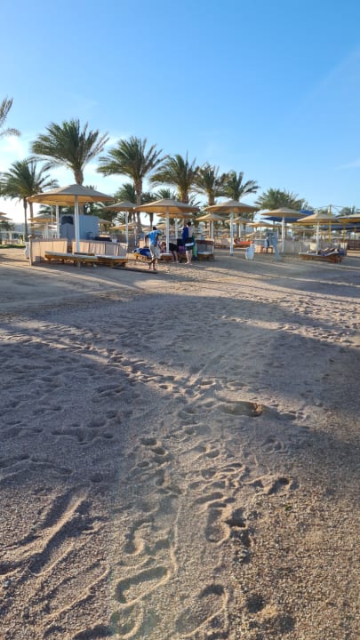 Strand Pickalbatros Royal Moderna Resort-Sharm El Sheikh