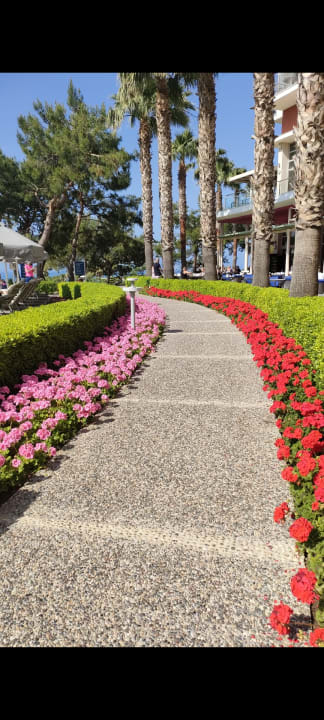 Gartenanlage Akra Sorgun Tui Blue Sensatori