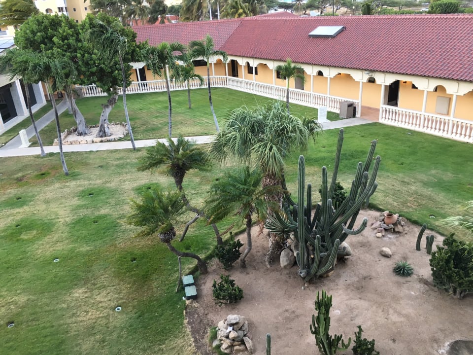 Ausblick Bucuti & Tara Beach Resort - Adults only