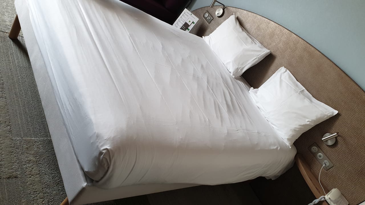 Zimmer Ibis Styles Colmar Nord