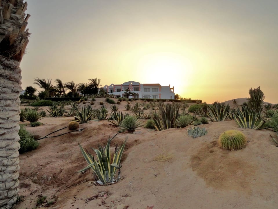 Wie im Paradies! Fantazia Resort Marsa Alam