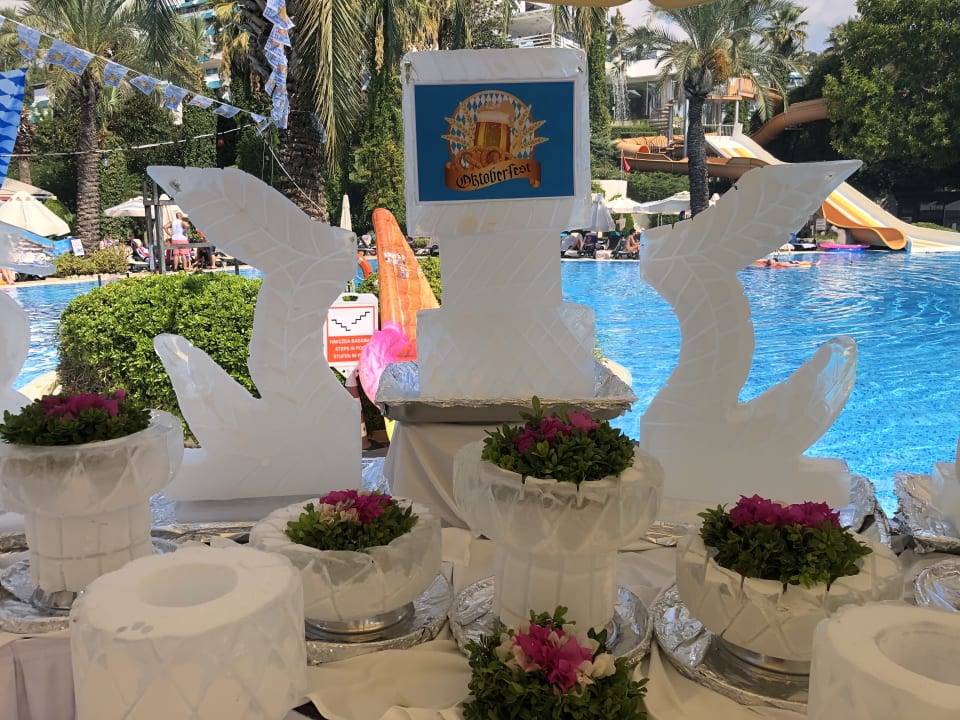 Gastro Side Star Elegance