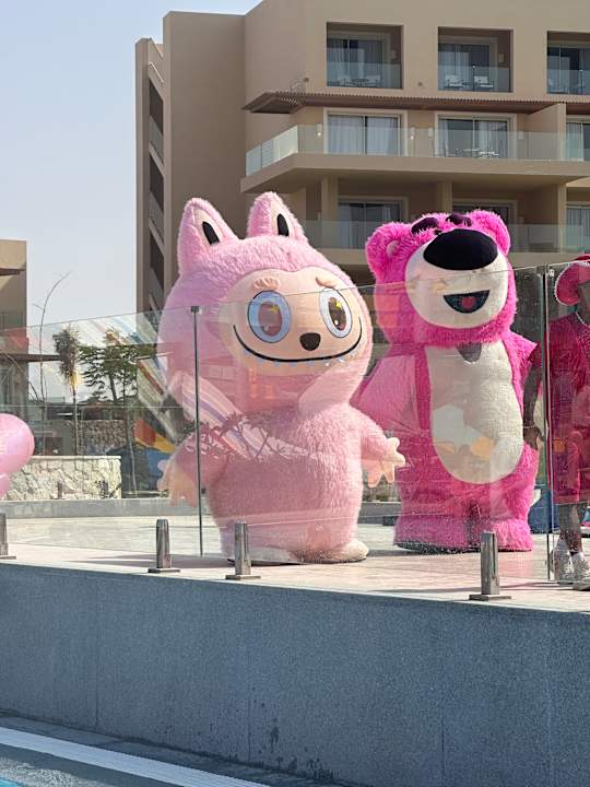 Sport & Freizeit JAZ Elite Asteria