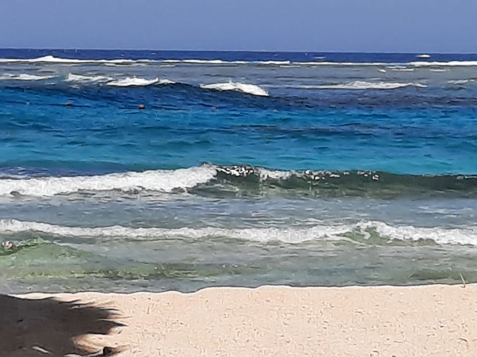 Strand Mövenpick Resort El Quseir