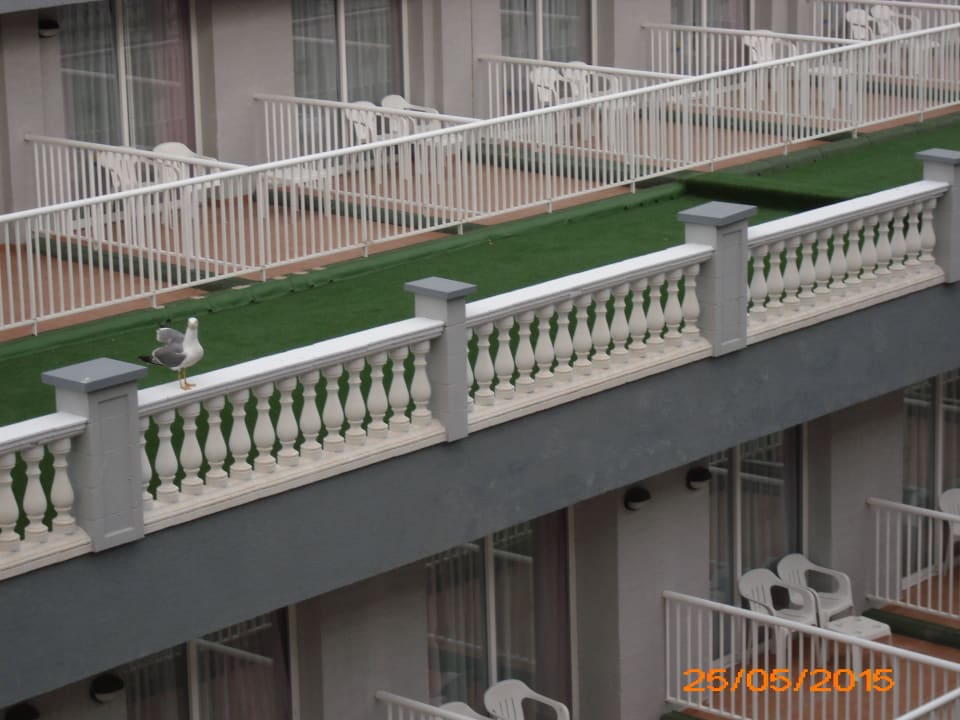 Widok z balkonu na obiekt Hotel Don Juan Tossa