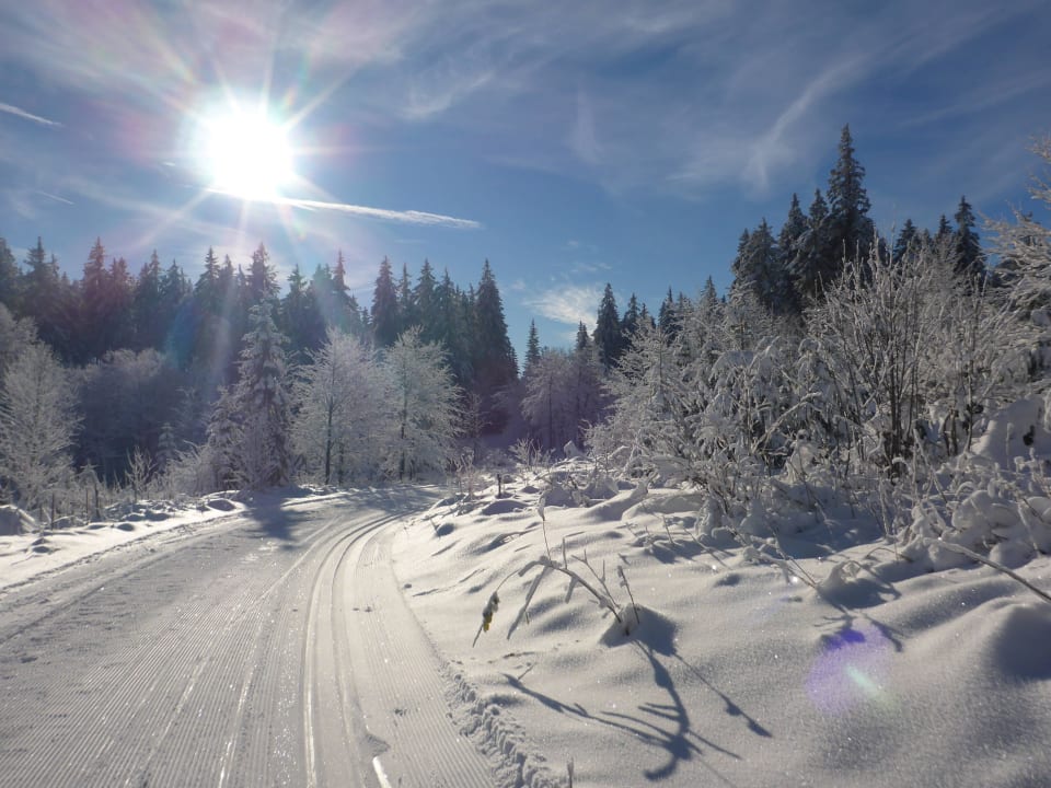 Loipenzentrum Martinskapelle direkt vor der Tür Gasthaus Kolmenhof an der Donauquelle