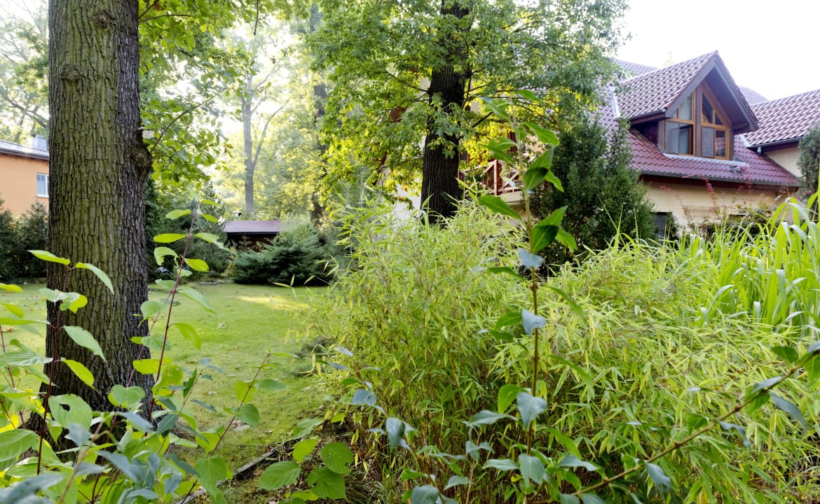Gartenanlage Hotel Potsdam am Katharinenholz