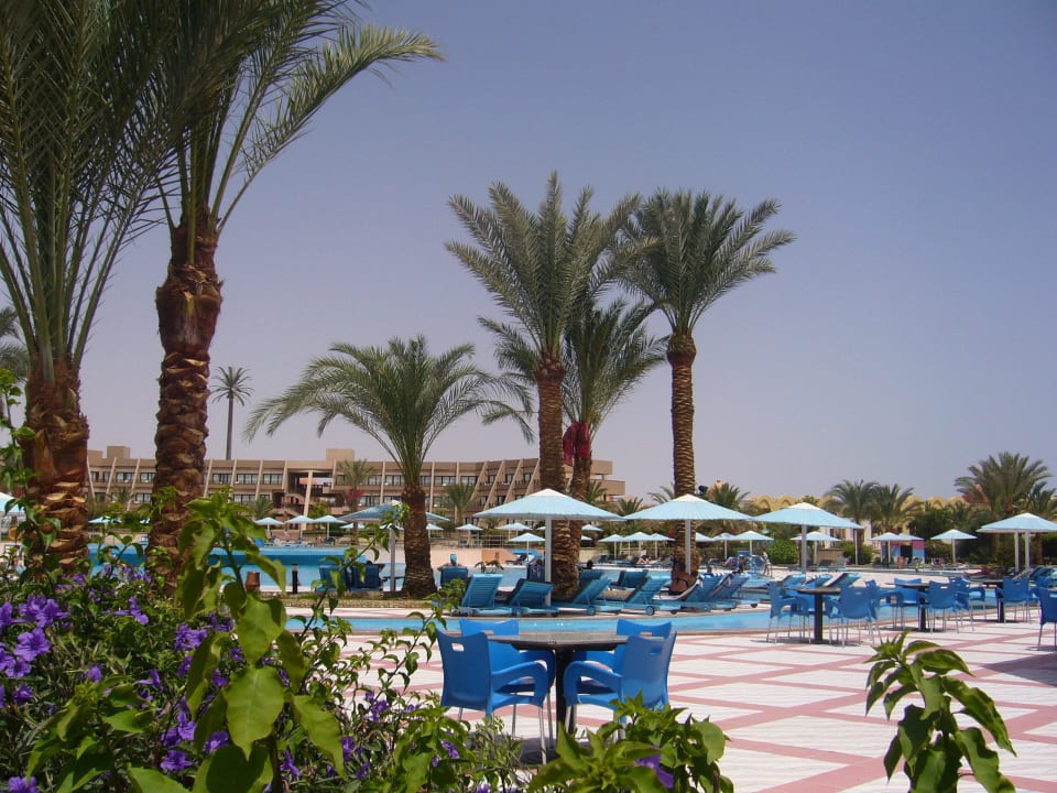 Pool Pharaoh Azur Resort