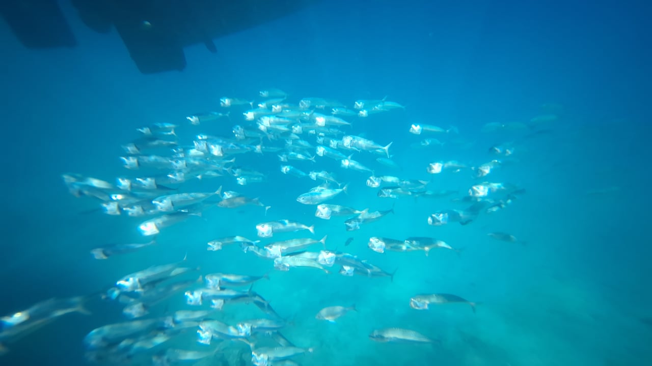 Strand Cleopatra Luxury Resort Makadi Bay