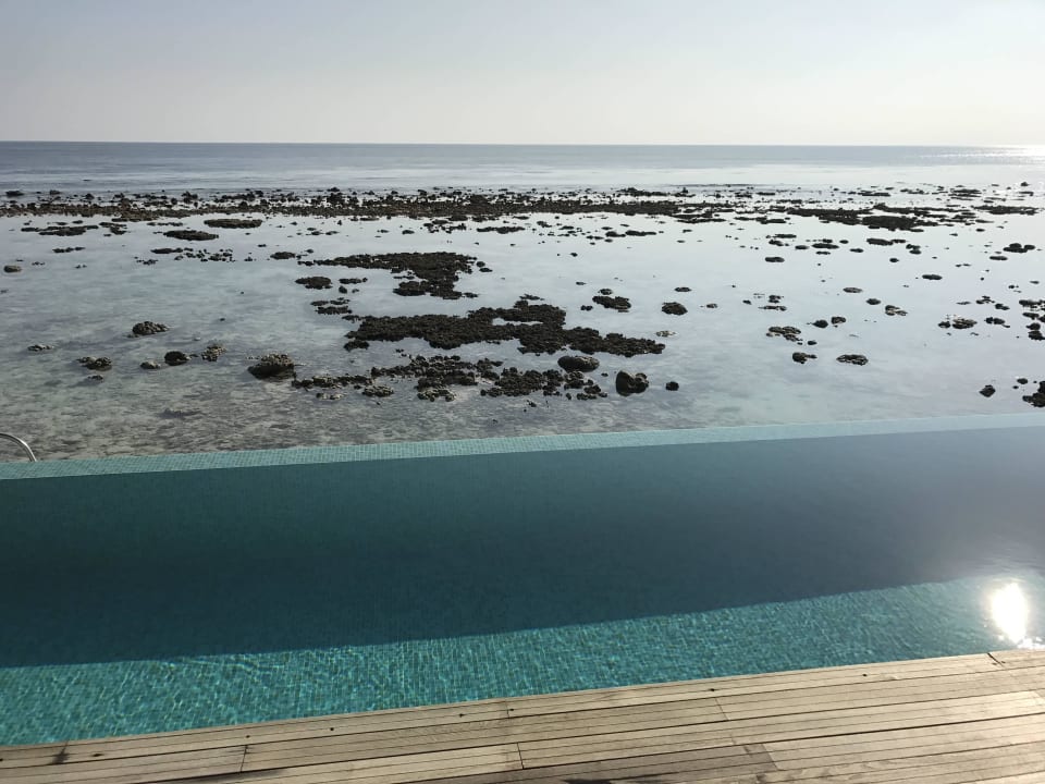 Nicht schön bei Ebbe! Kuramathi Maldives