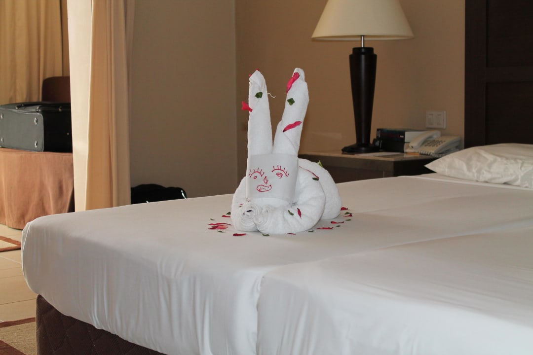 Süßer Hase Jaz Dar EL Madina