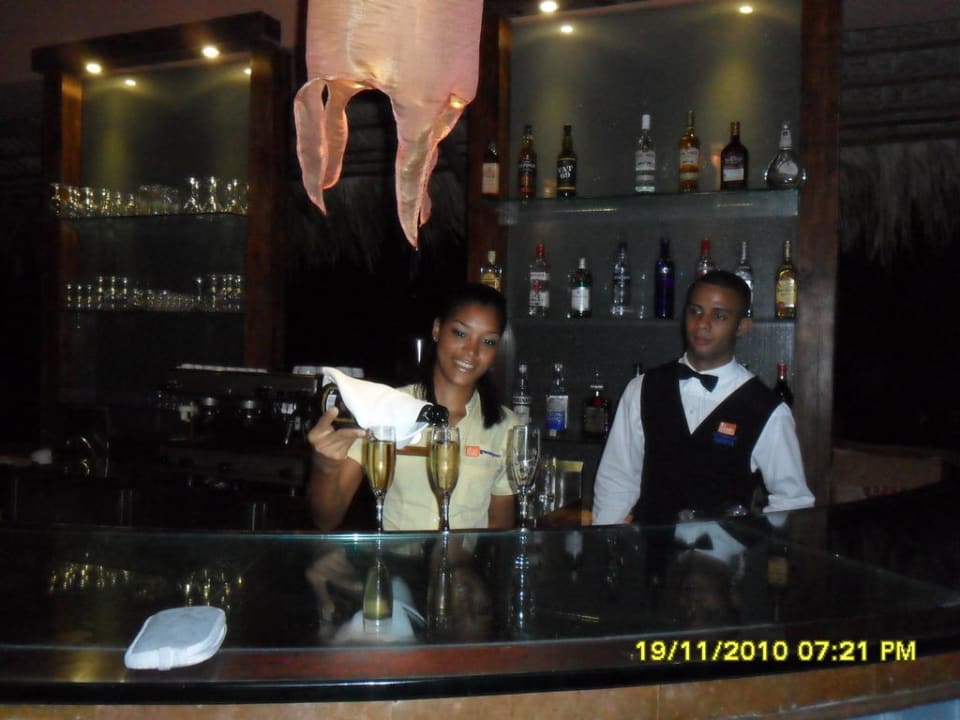 Immer lecker Hotel Viva Dominicus Palace by Wyndham-All Inclusive Resort