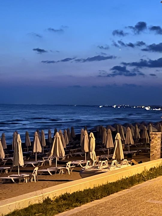 Strand Acanthus Cennet Barut Collection