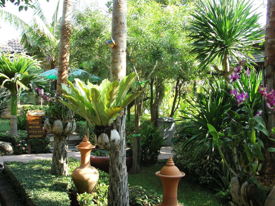 Gartenanlage Villa Wanida Garden Resort