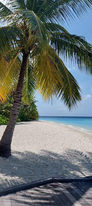 Strand Safari Island Maldives