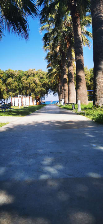 Gartenanlage TUI KIDS CLUB Alex Beach