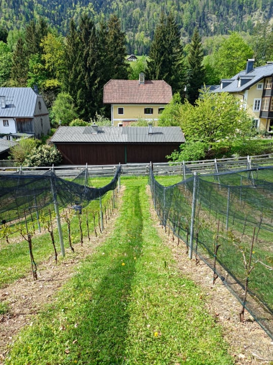 Sonstiges Hotel Hollweger