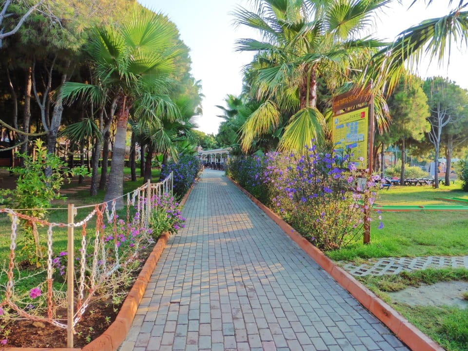 Weg vom Strand zur Poolbar Club Turtas Beach Hotel